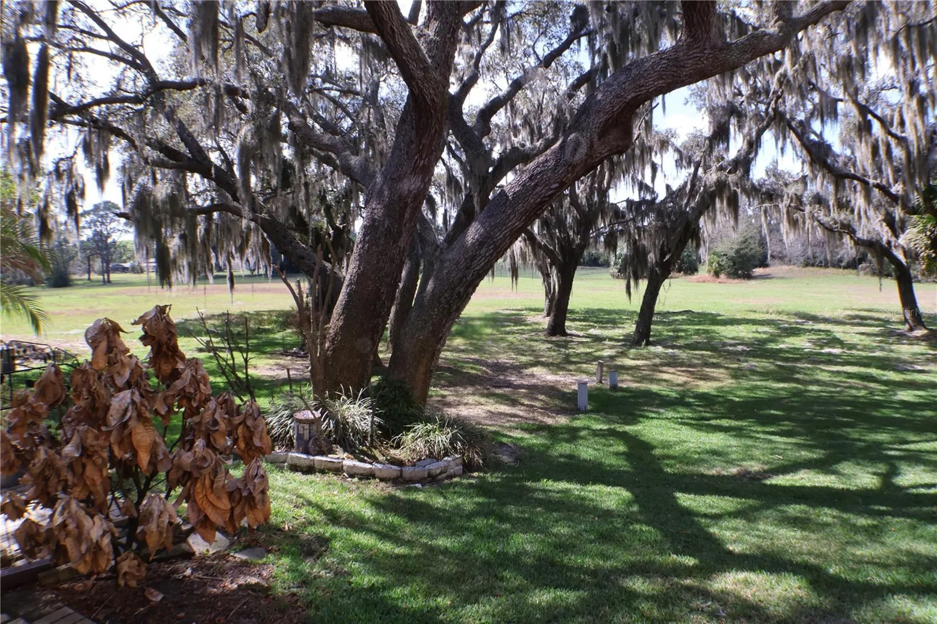 3003 Finsterwald Drive Titusville FL 32780