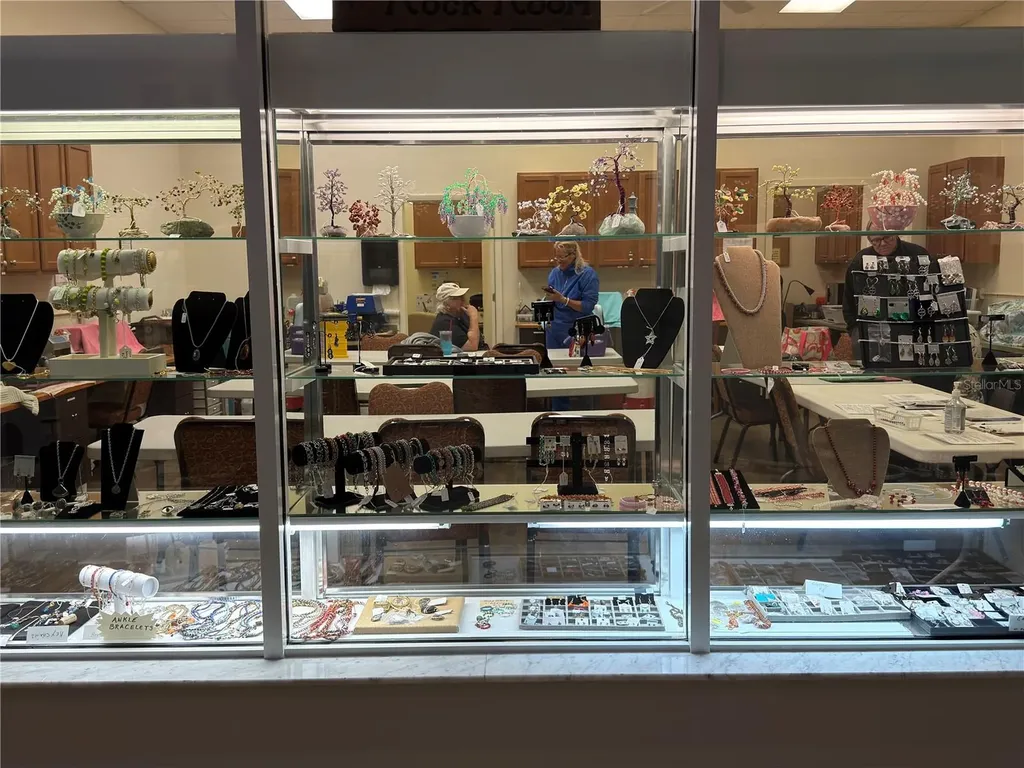 1232 Haddington Circle Sun City Center FL 33573