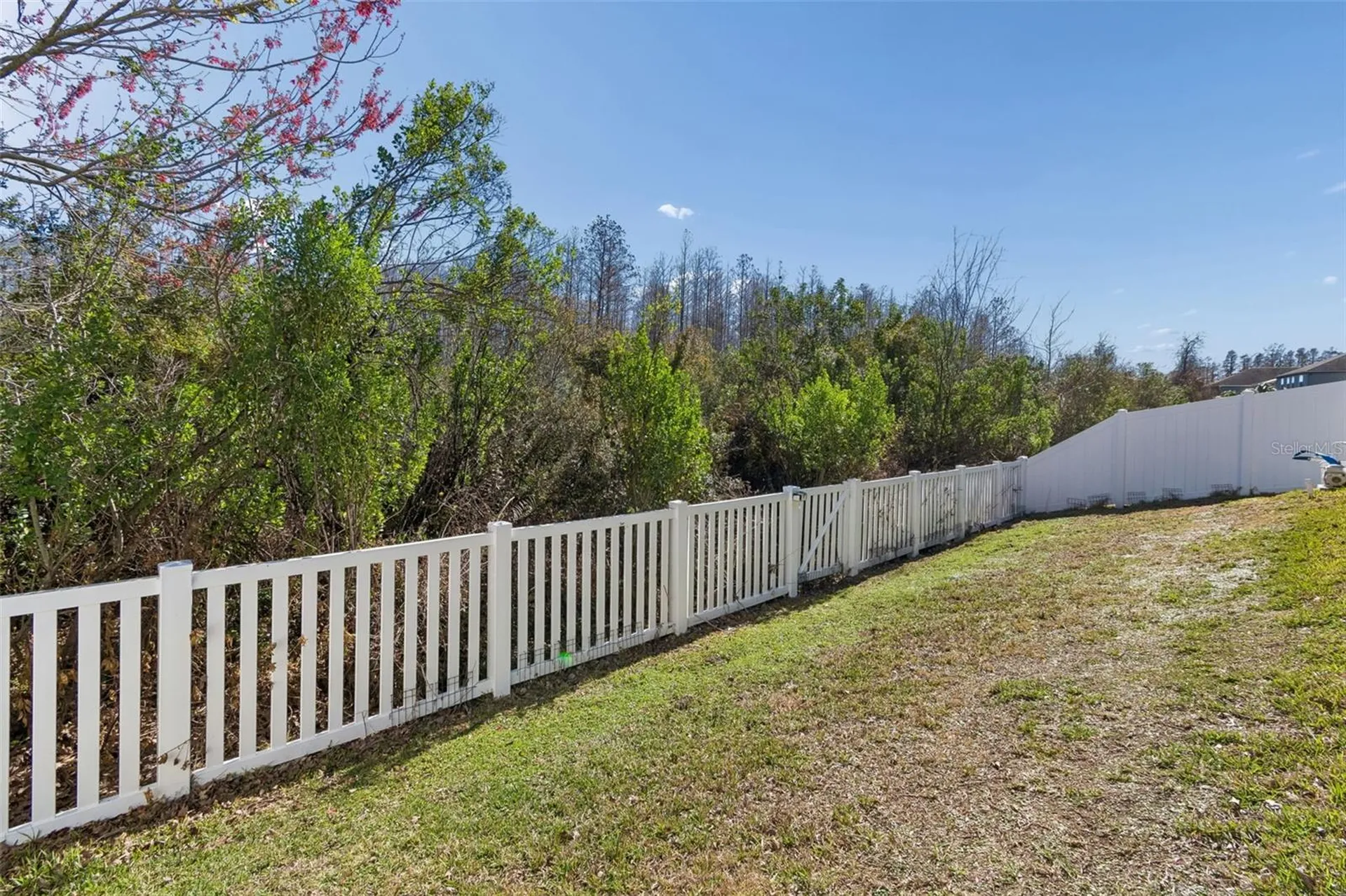 3620 Lefays Point Land O Lakes FL 34638