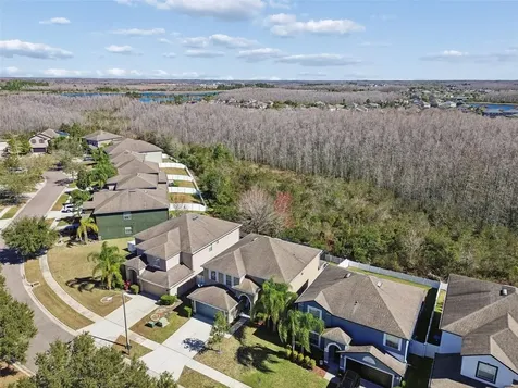 3620 Lefays Point Land O Lakes FL 34638