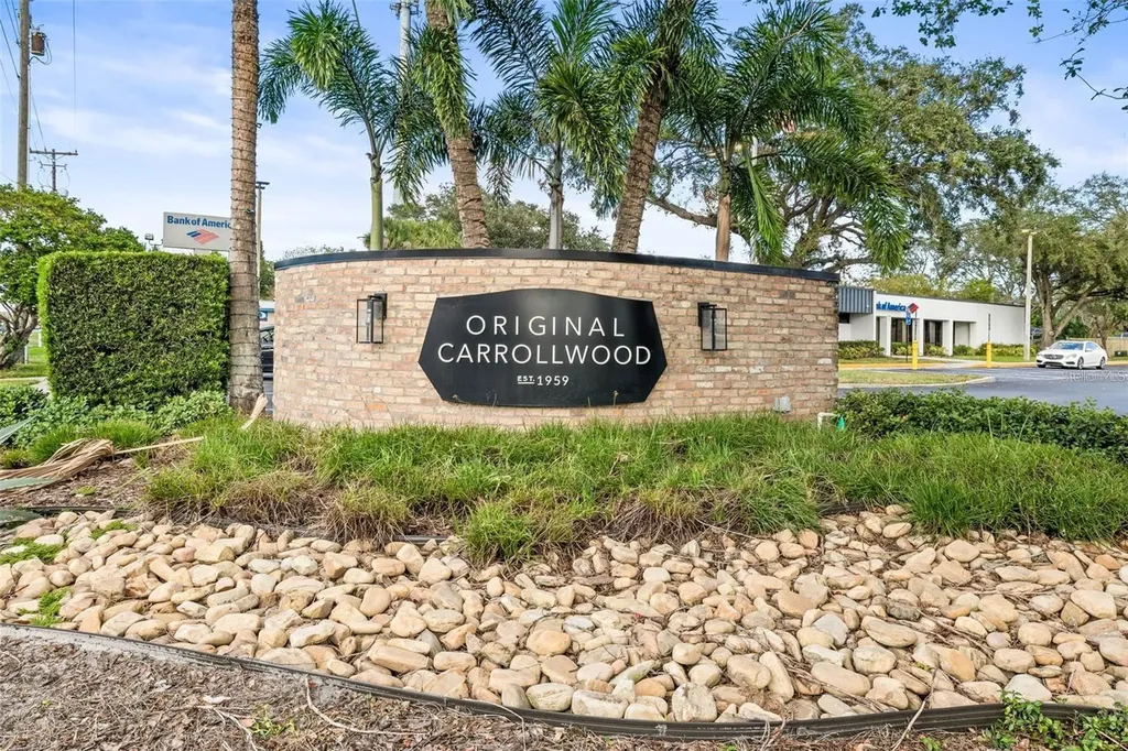 10408 Butia Place Tampa FL 33618