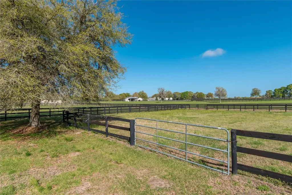 8785 NW 63rd Street Ocala FL 34482