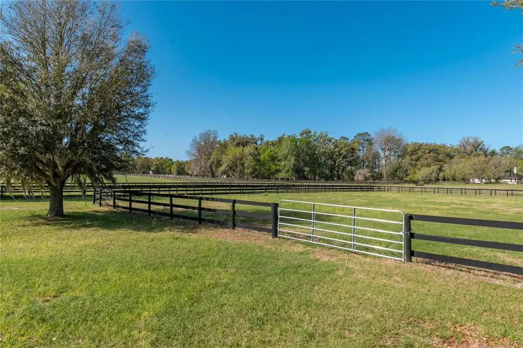 8785 NW 63rd Street Ocala FL 34482
