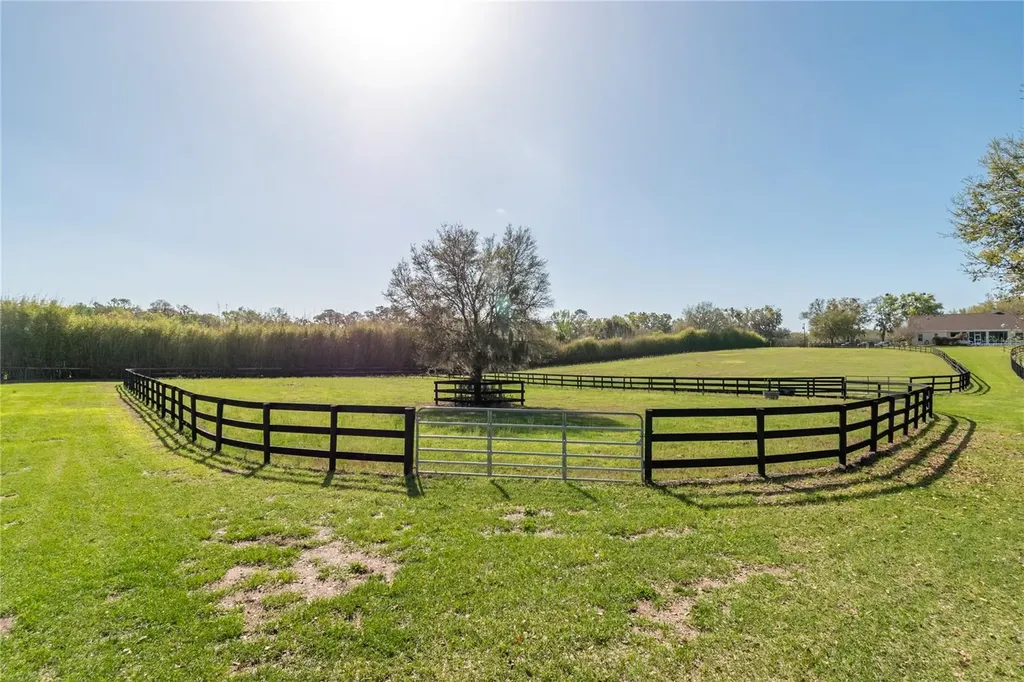 8785 NW 63rd Street Ocala FL 34482