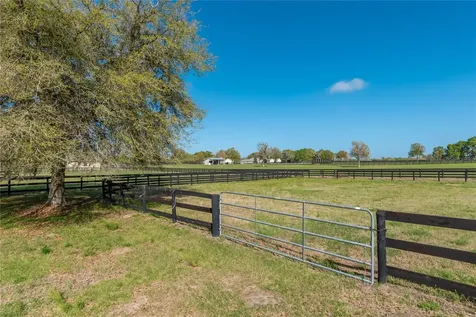 8785 NW 63rd Street Ocala FL 34482