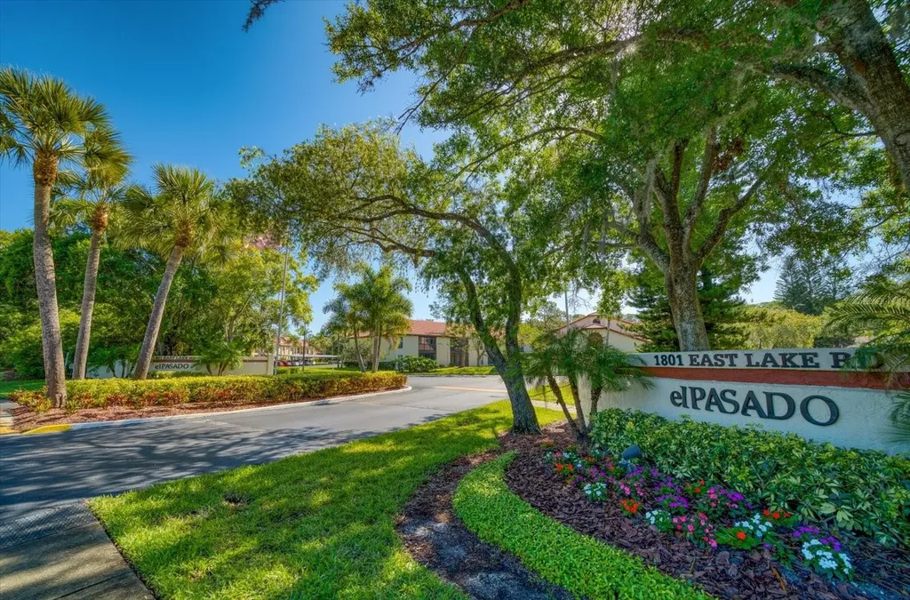 1801 E Lake Road Palm Harbor FL 34685