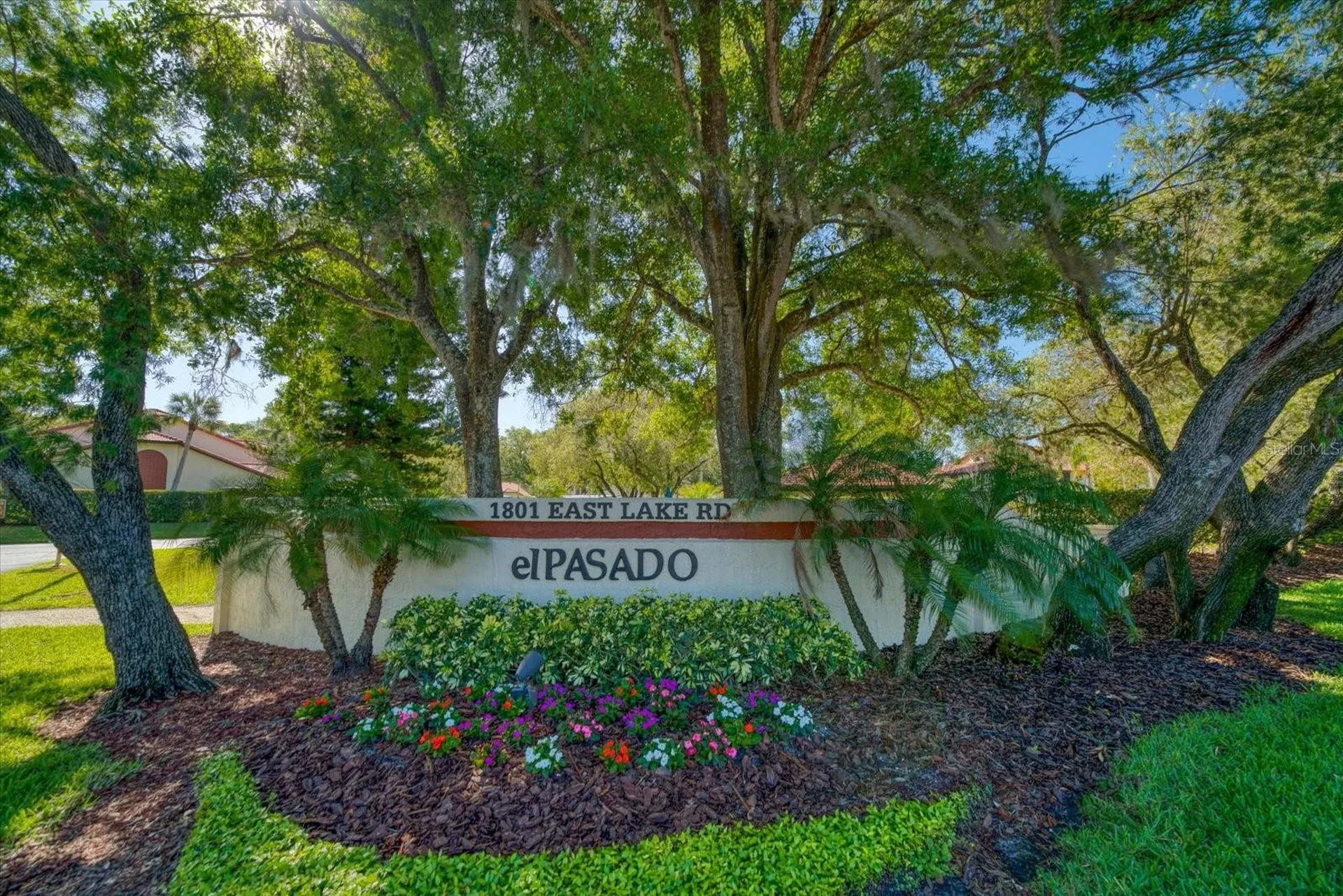 1801 E Lake Road Palm Harbor FL 34685