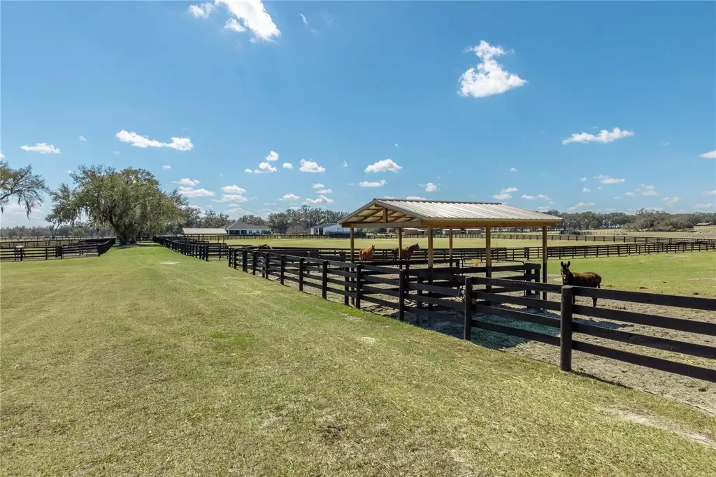 4700 NW 157th Court Morriston FL 32668