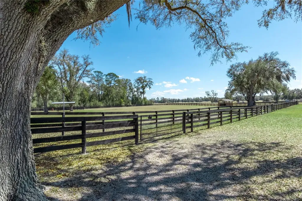 4700 NW 157th Court Morriston FL 32668
