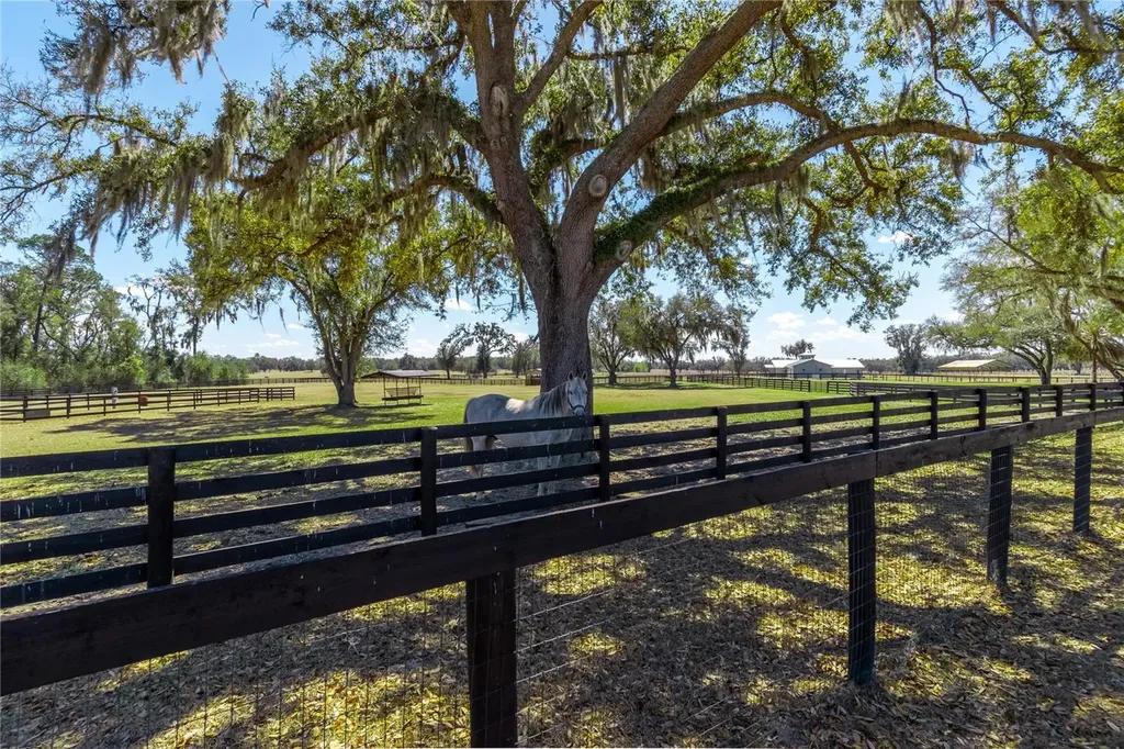 4700 NW 157th Court Morriston FL 32668