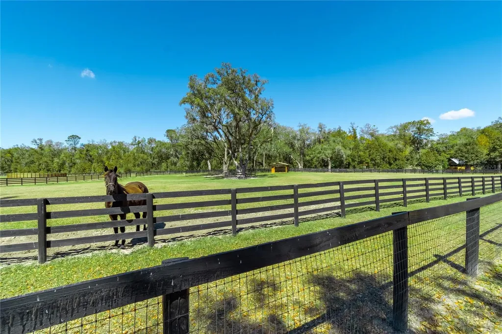 4700 NW 157th Court Morriston FL 32668