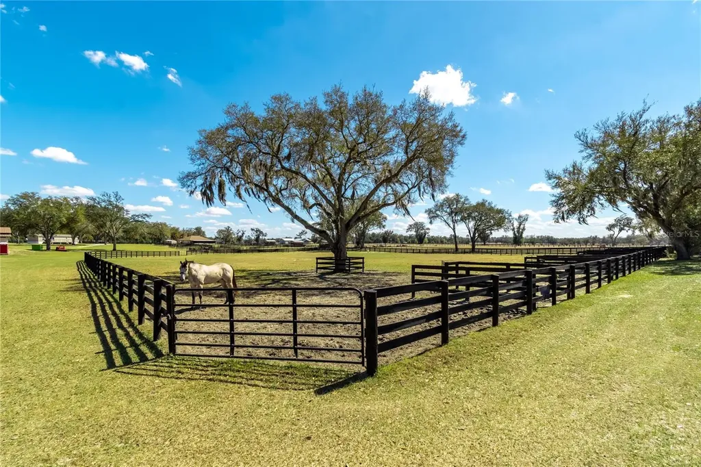 4700 NW 157th Court Morriston FL 32668