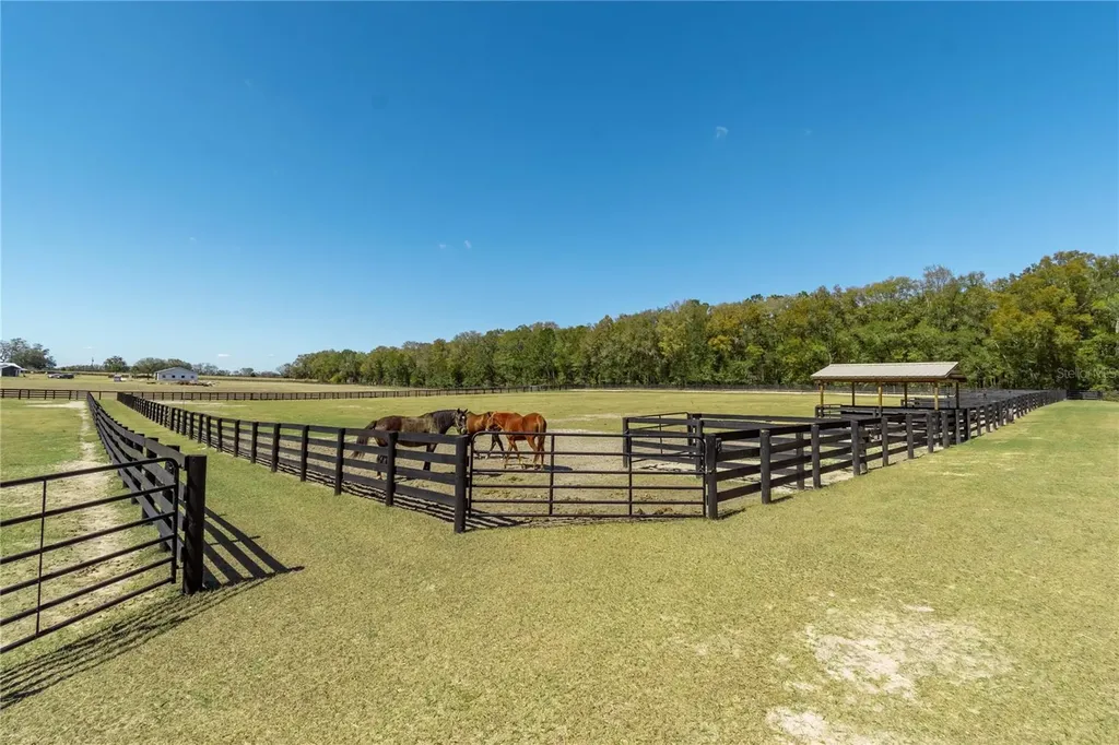 4700 NW 157th Court Morriston FL 32668