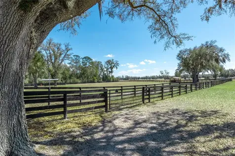 4700 NW 157th Court Morriston FL 32668