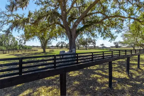 4700 NW 157th Court Morriston FL 32668