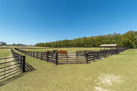 4700 NW 157th Court Morriston FL 32668