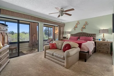 115 Colony South Drive Tarpon Springs FL 34689