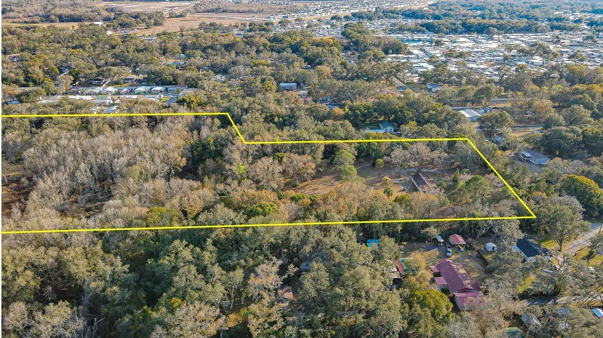 3902 Autumn Palm Drive Zephyrhills FL 33541