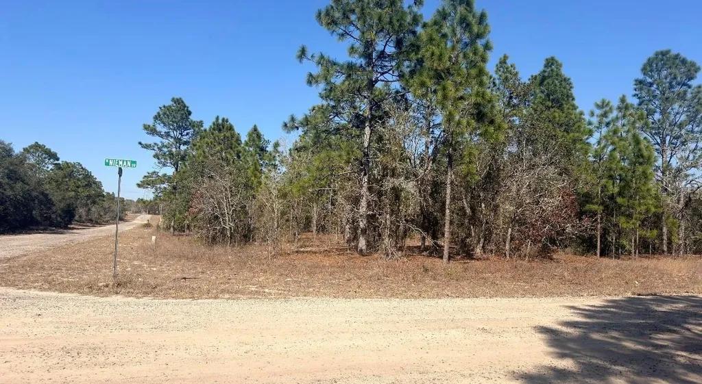 6501 N Winlock Terrace Dunnellon FL 34433