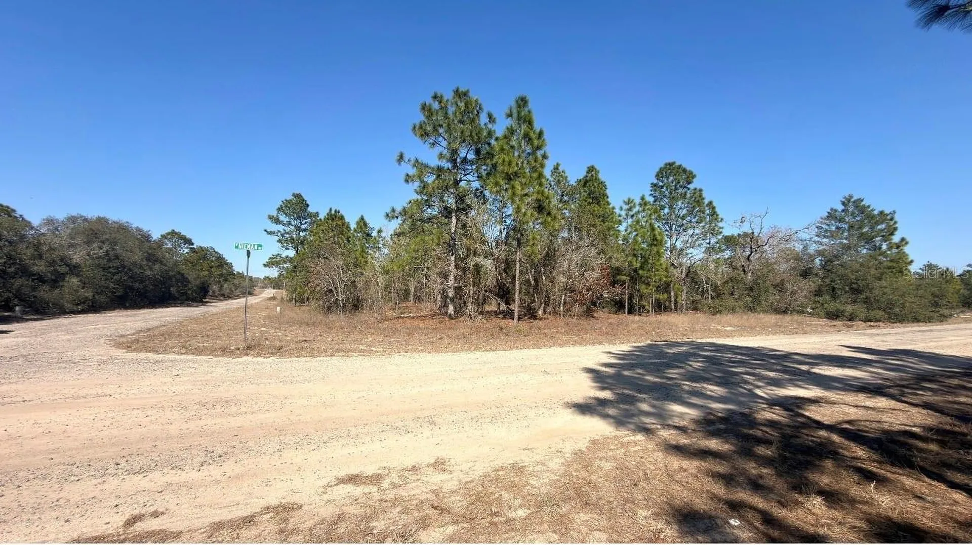6501 N Winlock Terrace Dunnellon FL 34433