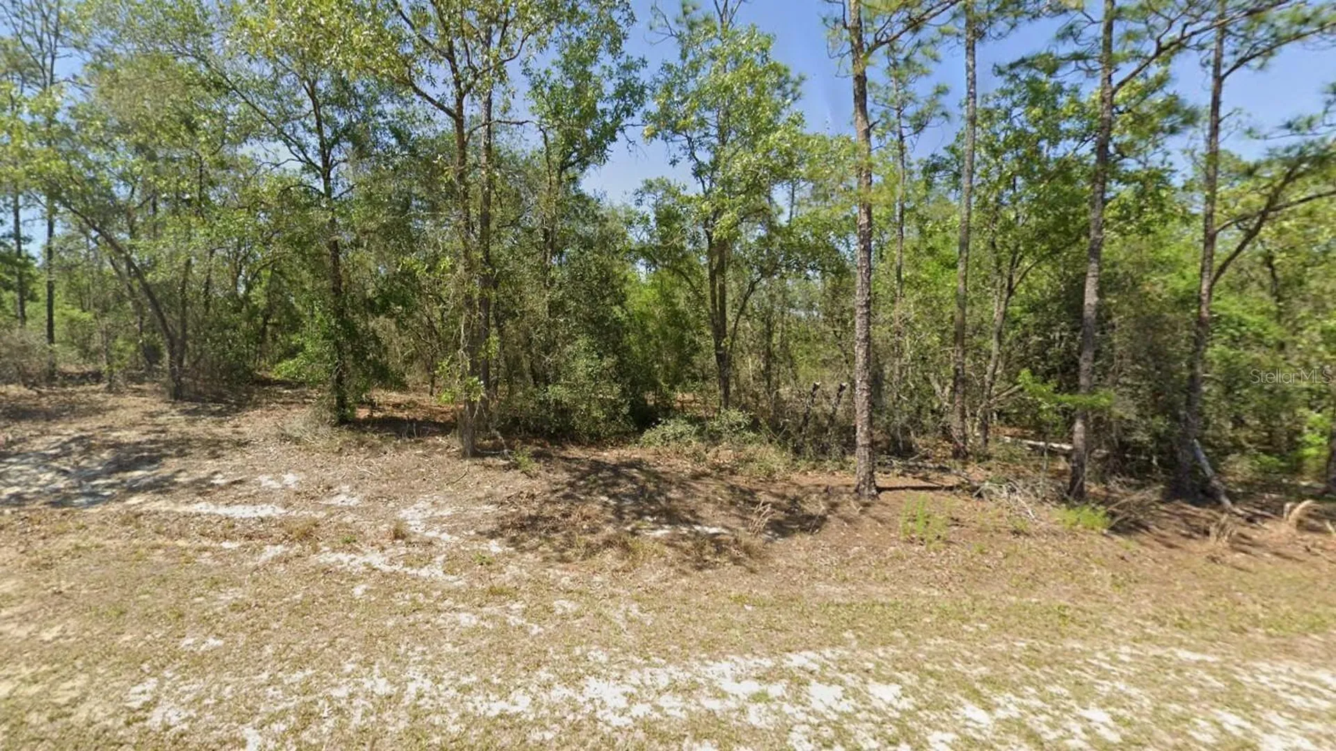 00 SW Rainbow Lakes Boulevard Dunnellon FL 34431