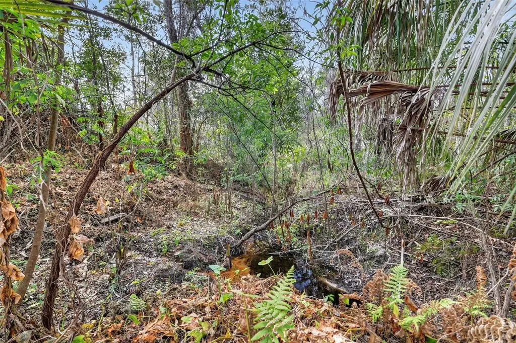 Powell Road Brooksville FL 34602