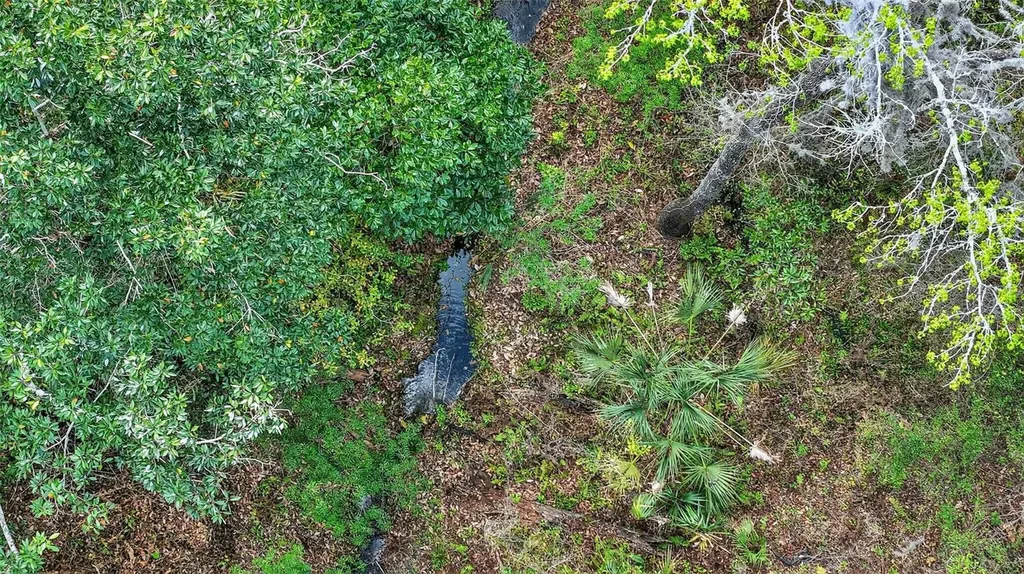 Powell Road Brooksville FL 34602