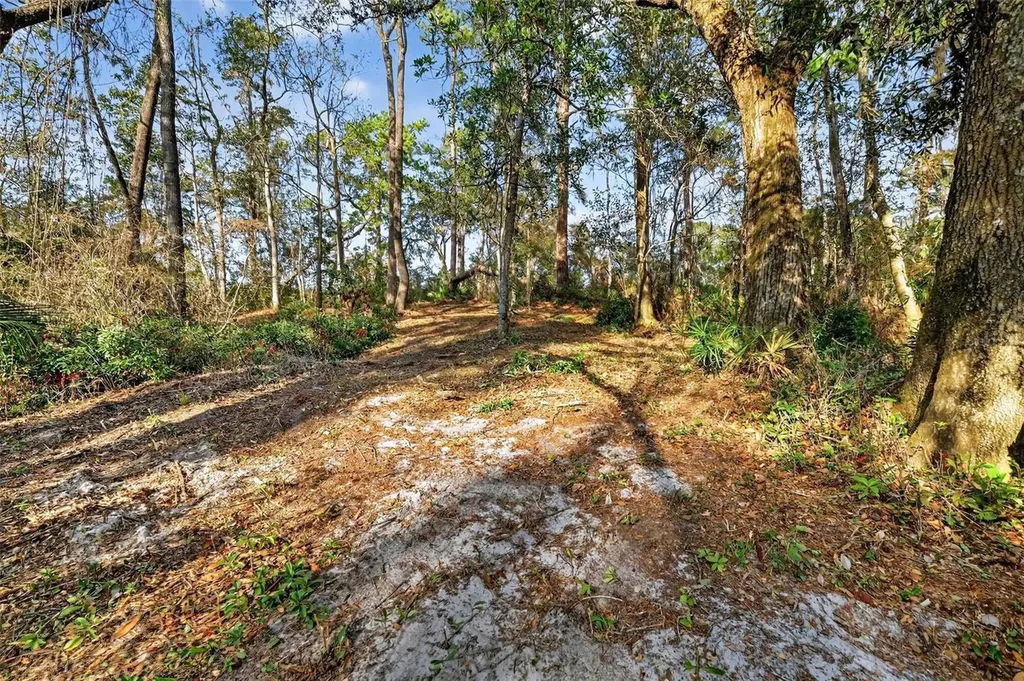 Powell Road Brooksville FL 34602