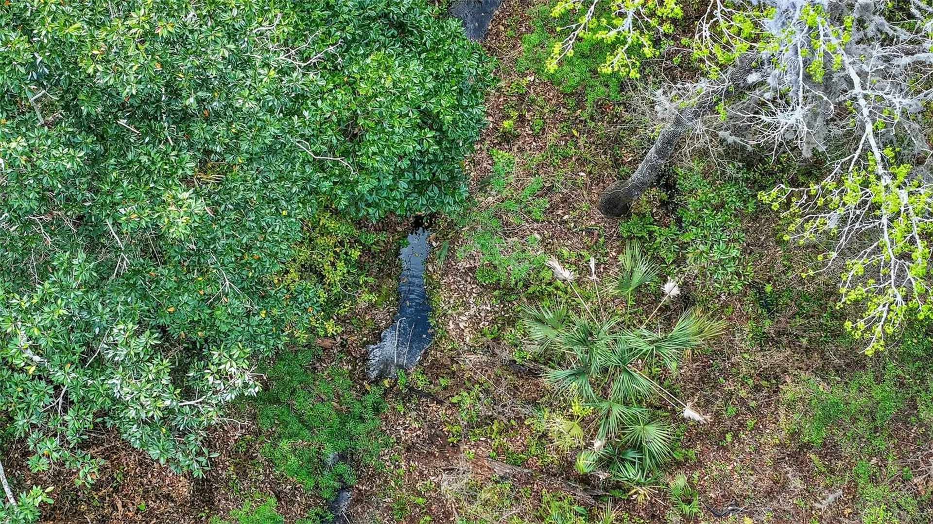 Powell Road Brooksville FL 34602