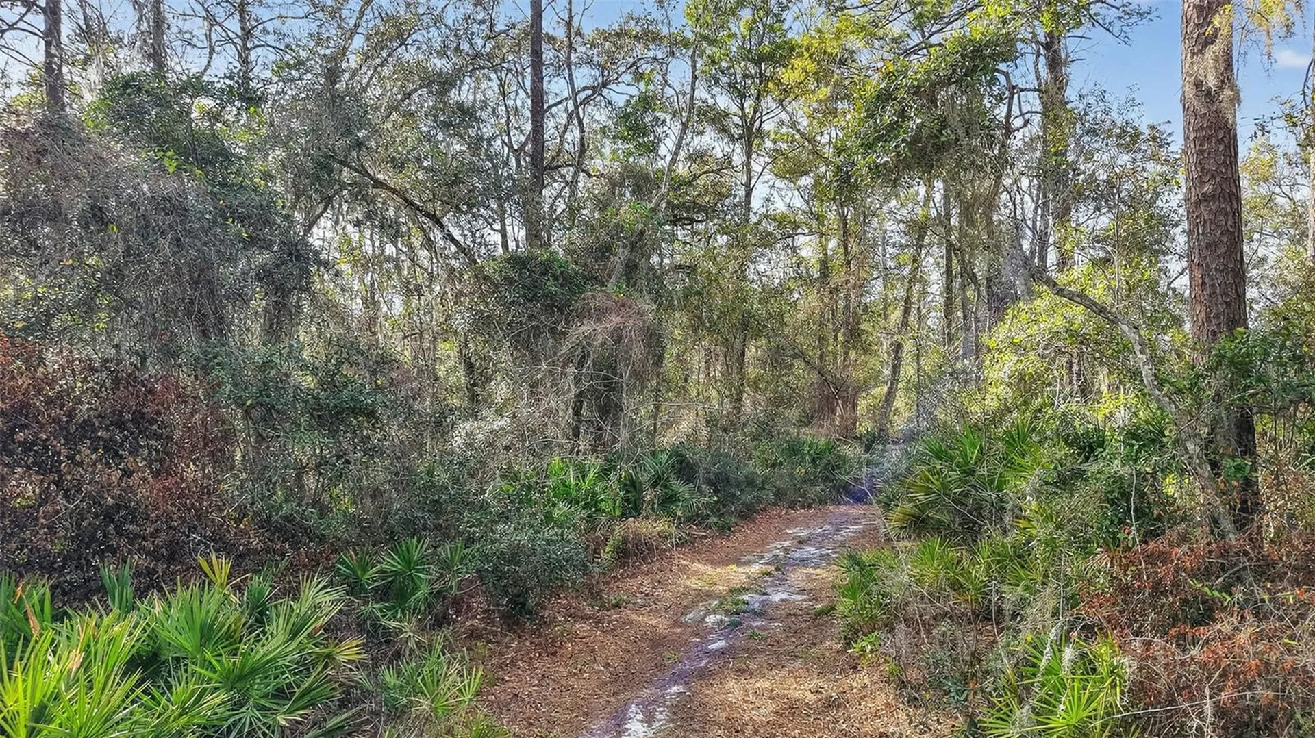 Powell Road Brooksville FL 34602
