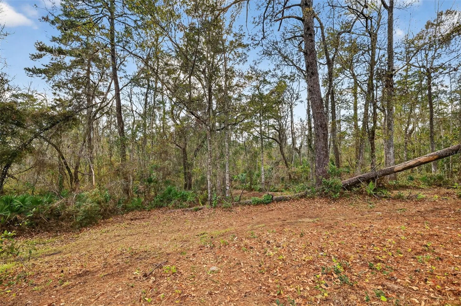 Powell Road Brooksville FL 34602