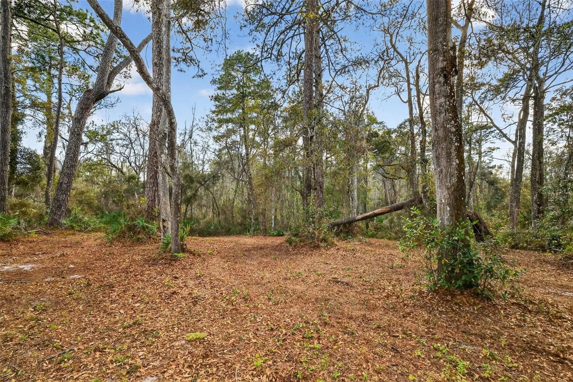 Powell Road Brooksville FL 34602