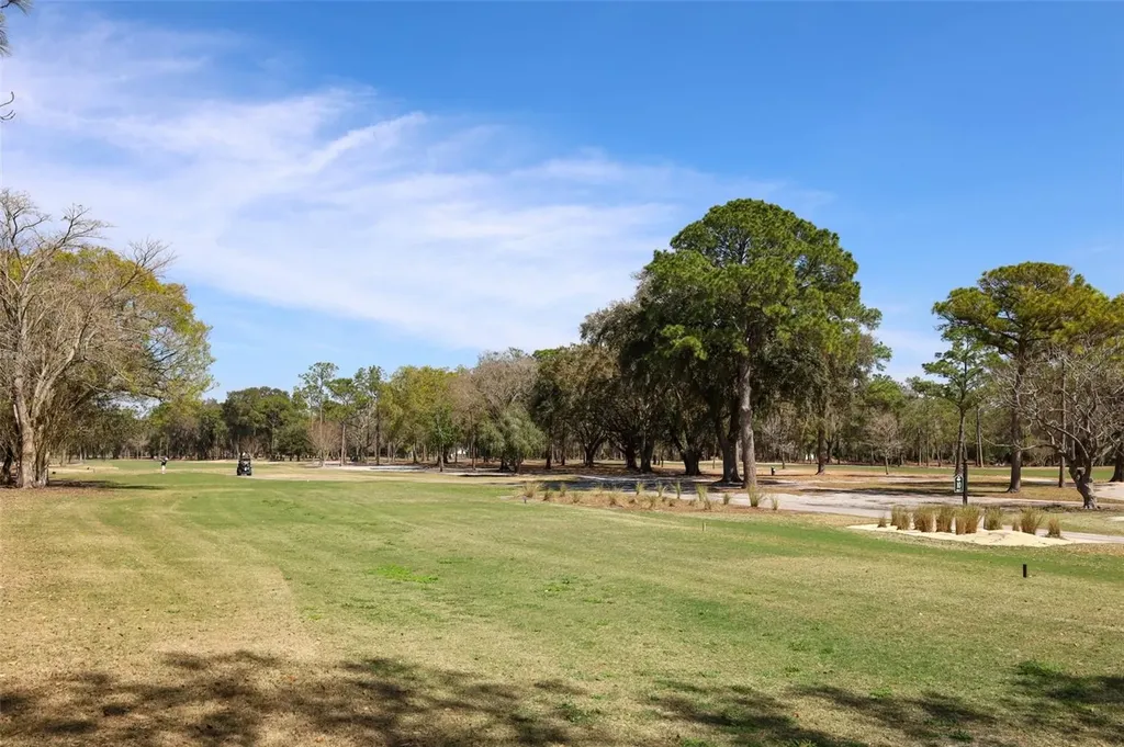 1607 Pinar Drive Orlando FL 32825