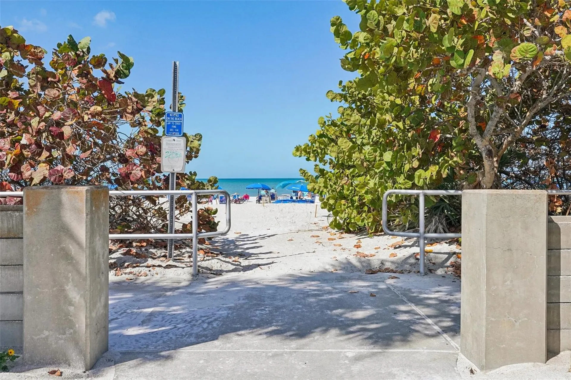 1507 Legion Lane Indian Rocks Beach FL 33785
