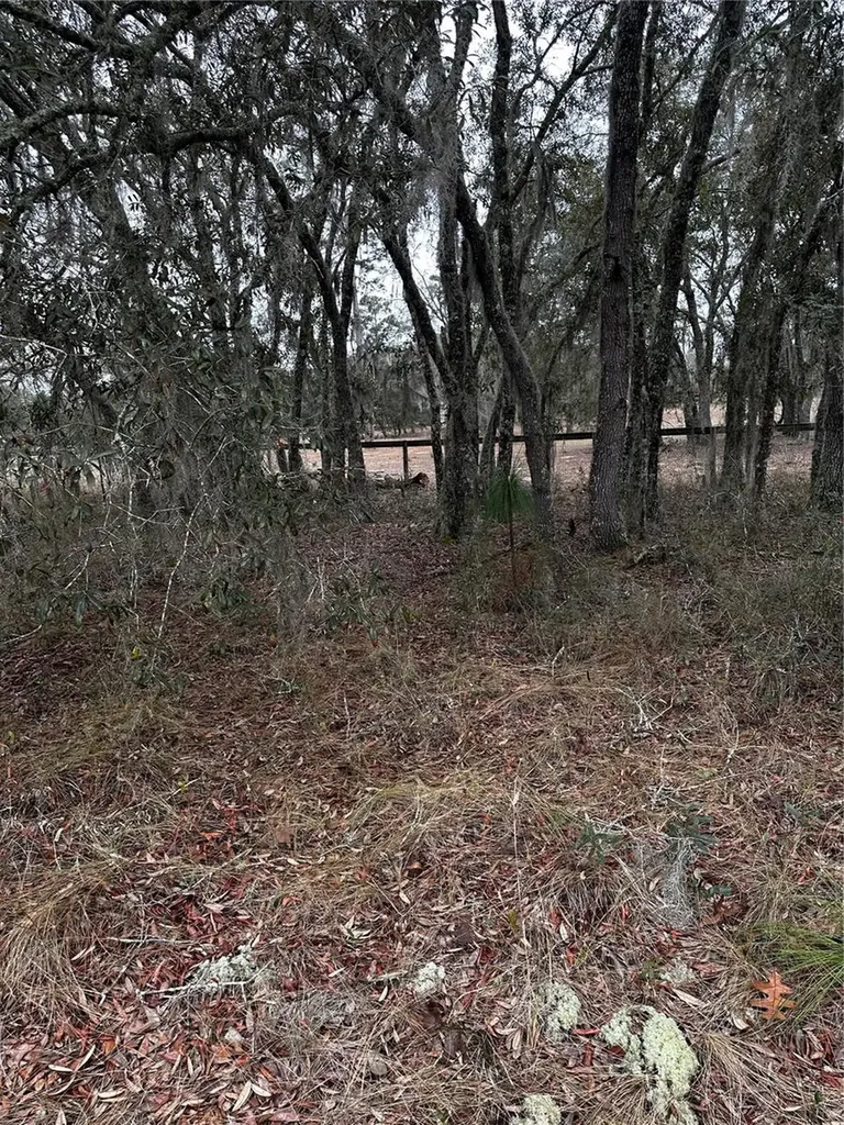 0000 SE 123 Road Terrace Morriston FL 32668