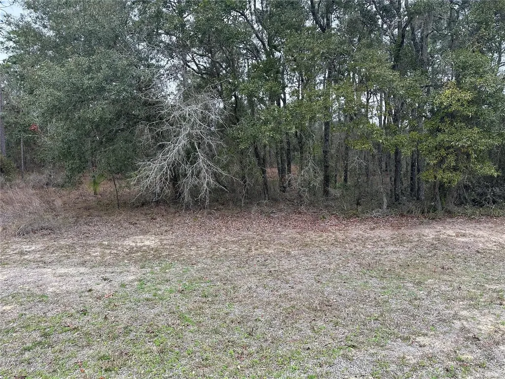 0000 SE 123 Road Terrace Morriston FL 32668