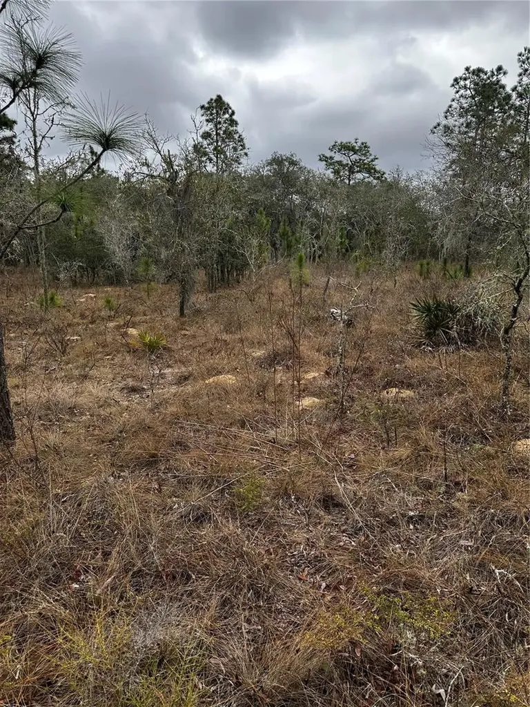 0000 SE 123 Road Terrace Morriston FL 32668