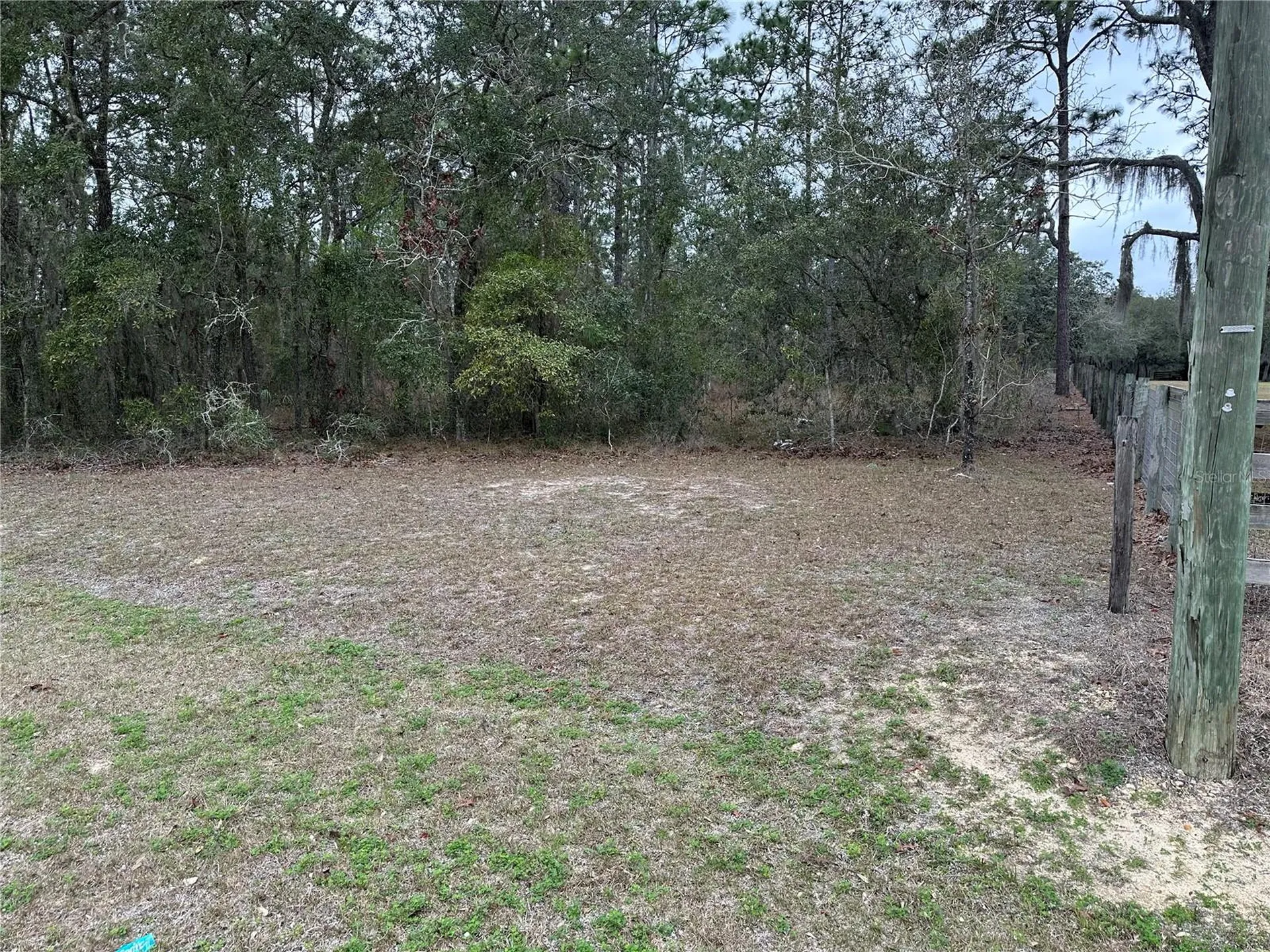 0000 SE 123 Road Terrace Morriston FL 32668