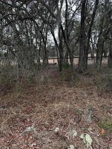 0000 SE 123 Road Terrace Morriston FL 32668