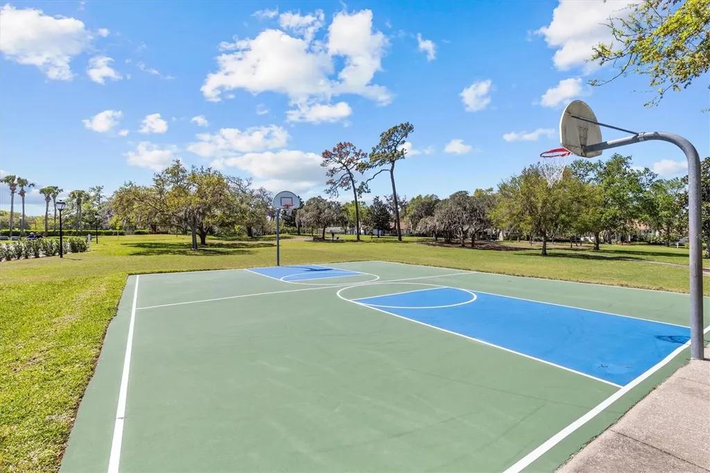 2111 Pinnacle Circle N Palm Harbor FL 34684
