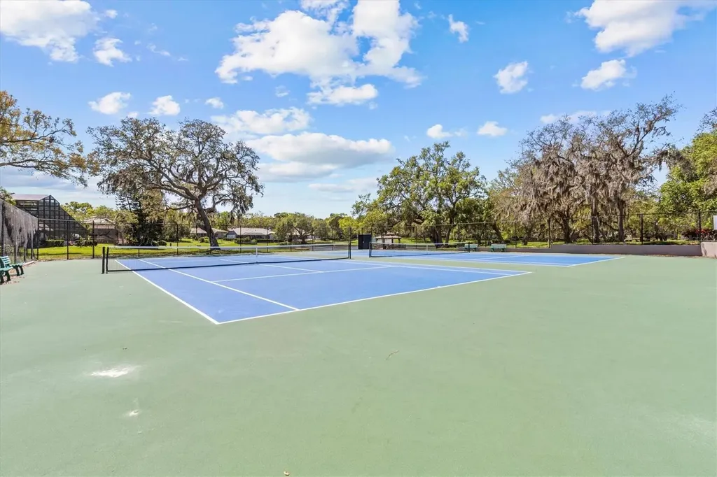 2111 Pinnacle Circle N Palm Harbor FL 34684