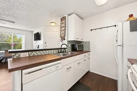 2569 Grassy Point Drive Lake Mary FL 32746