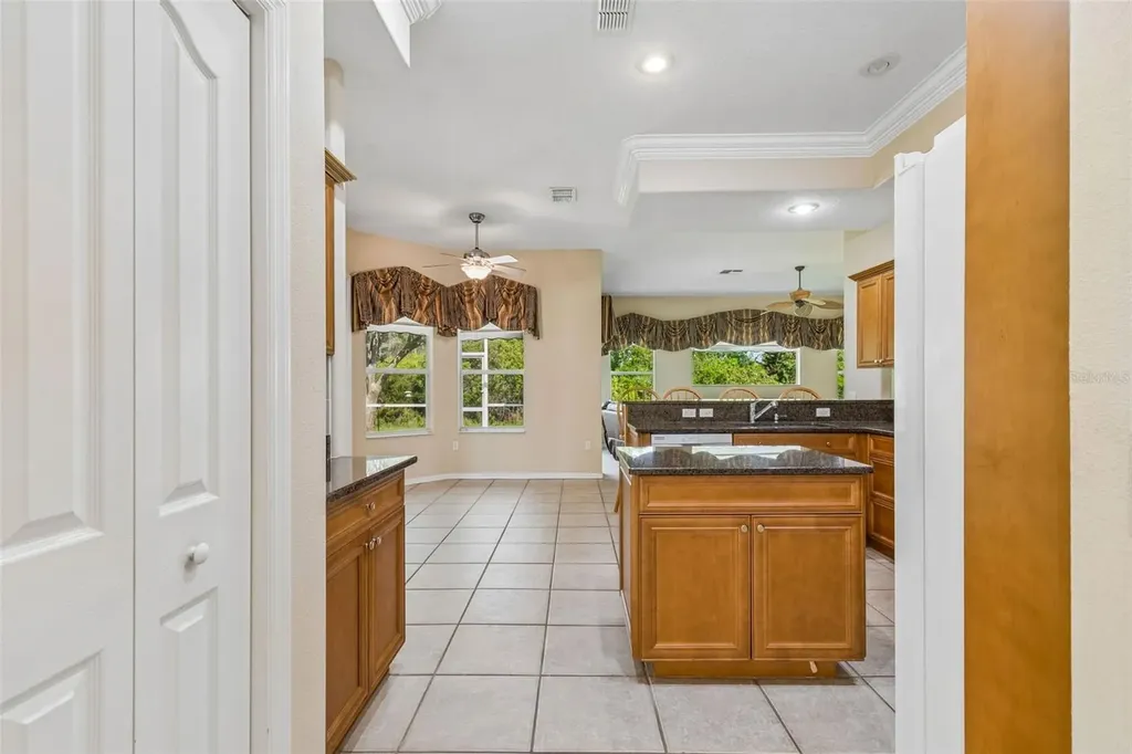 7424 Melogold Circle Land O Lakes FL 34637