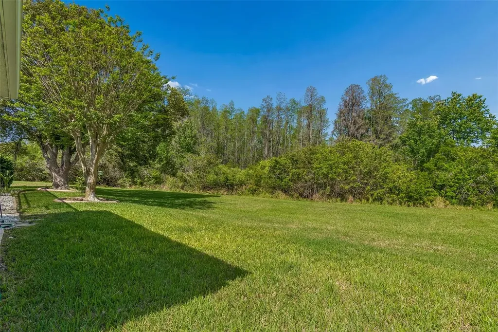 7424 Melogold Circle Land O Lakes FL 34637