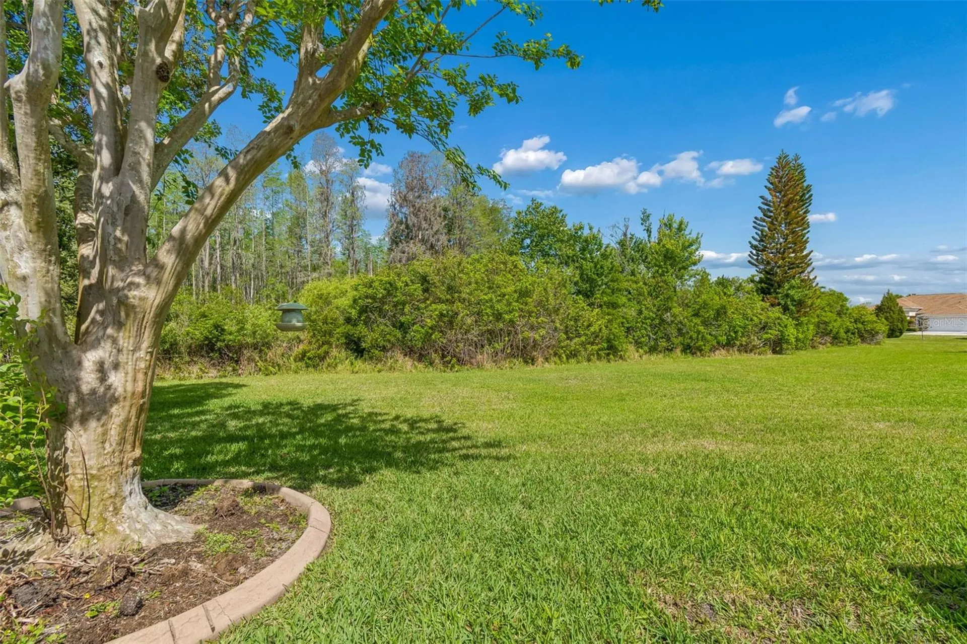 7424 Melogold Circle Land O Lakes FL 34637