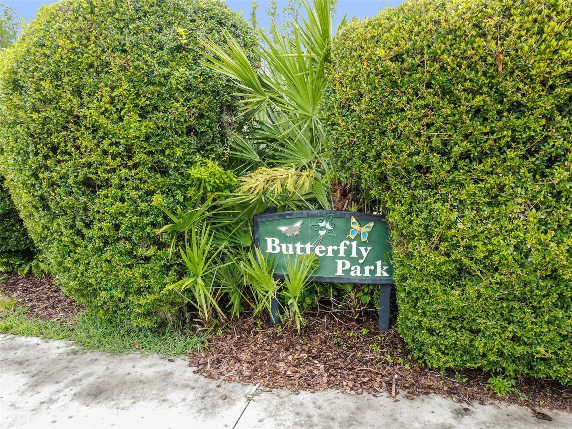 7424 Melogold Circle Land O Lakes FL 34637