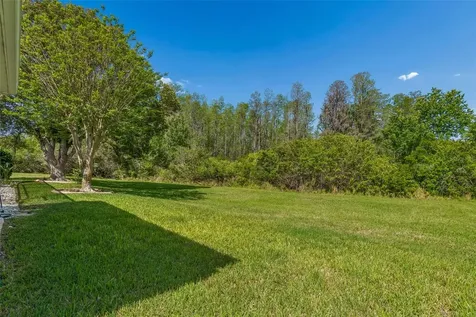 7424 Melogold Circle Land O Lakes FL 34637