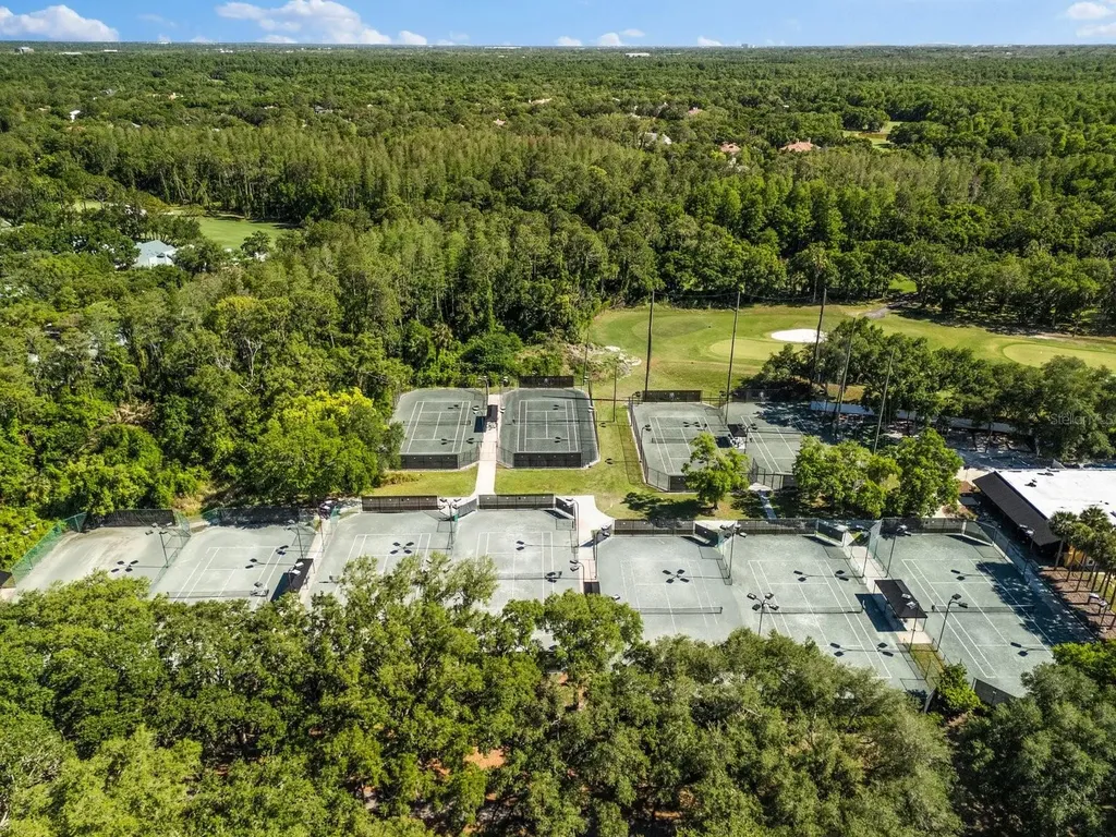6413 Maclaurin Drive Tampa FL 33647