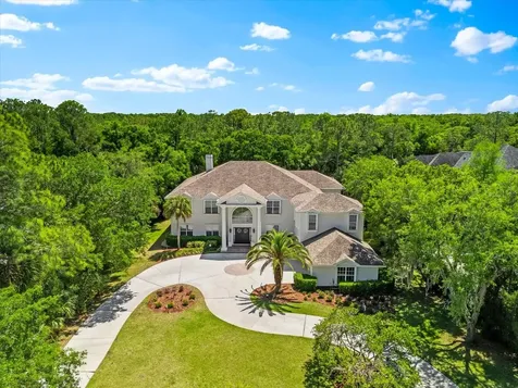 6413 Maclaurin Drive Tampa FL 33647