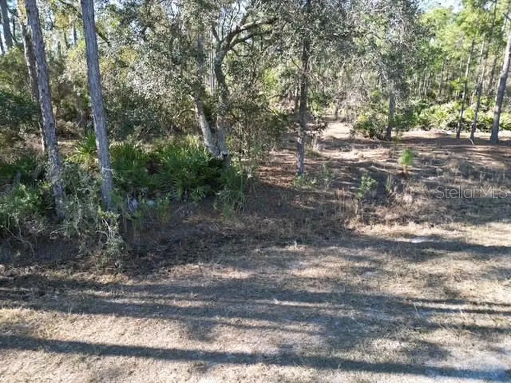 707 Laguna Drive Indian Lake Estates FL 33855